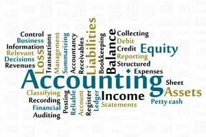 Professional Services - Accounting Service